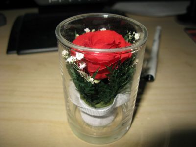 IMG_1550.JPG