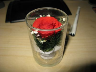 IMG_1551.JPG