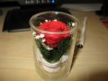 IMG_1546.JPG