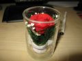 IMG_1547.JPG