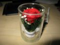 IMG_1549.JPG