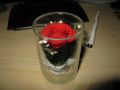 IMG_1552.JPG