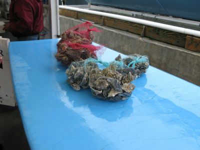 IMG_2006.JPG