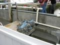 IMG_2026.JPG