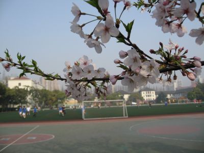 IMG_0213.JPG