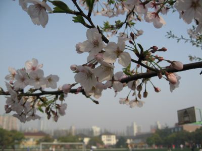 IMG_0215.JPG