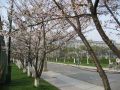 IMG_0191.JPG