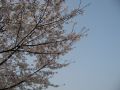 IMG_0203.JPG
