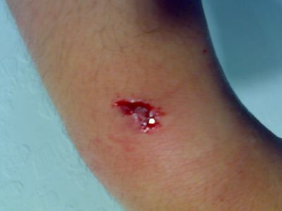 20071016110.jpg