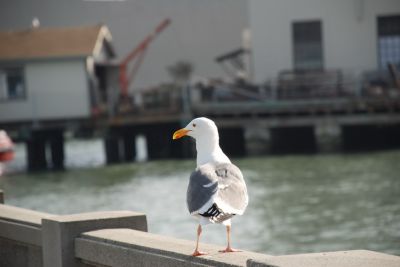 DSC_0016_resize.jpg