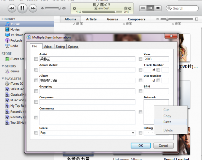 paste_in_itunes.png