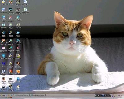 wallpaper.JPG
