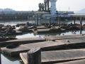IMG_0164.JPG