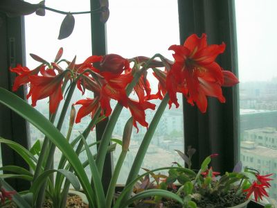 DSCN0623.JPG
