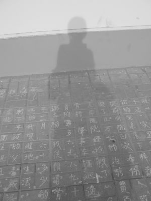 ouou_photo_08_0309_151.jpg