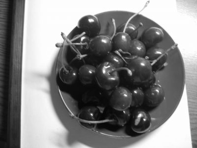 ouou_photo_08_0309_152.jpg