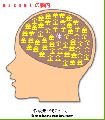 masami.gif