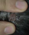 Filename=001.jpg
Filesize=134KiB
Dimensions=911x1095
Date added=Nov 23, 2012 001.jpg