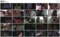 Filename=RBD-690_wmv.jpg
Filesize=373KiB
Dimensions=1890x1180
Date added=Jul 05, 2015 RBD-690_wmv.jpg