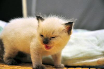 DSC_1146.jpg