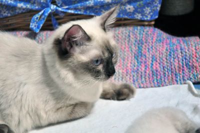 DSC_0889.jpg