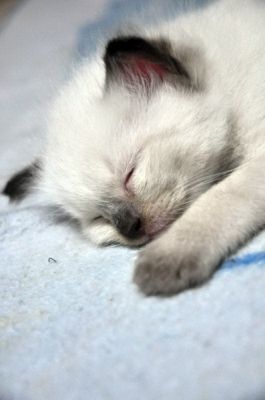 DSC_1251.JPG