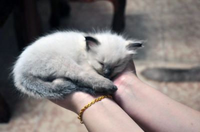 DSC_1256~0.JPG