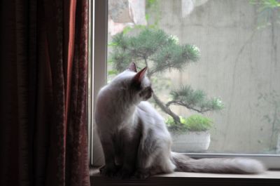 DSC_1571.jpg
