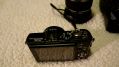 DSC01204.jpg