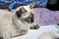 DSC_0889.jpg