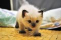 DSC_1131.JPG