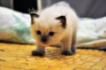 DSC_1138.jpg