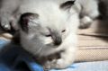 DSC_1238.JPG