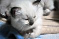DSC_1238~0.JPG