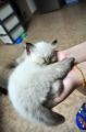 DSC_1262.JPG