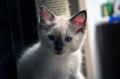 DSC_1907.JPG