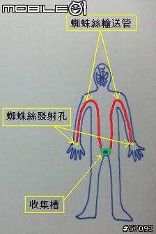 b~0.jpg
