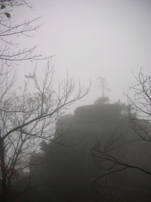 DSCN0954.JPG