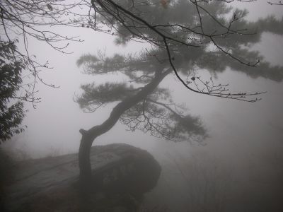 DSCN0960.JPG