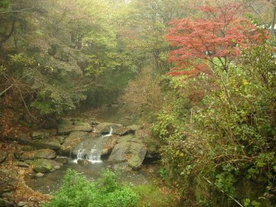 DSCN0974.JPG