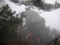 DSCN0953.JPG