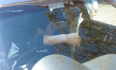 fingding ms spring
