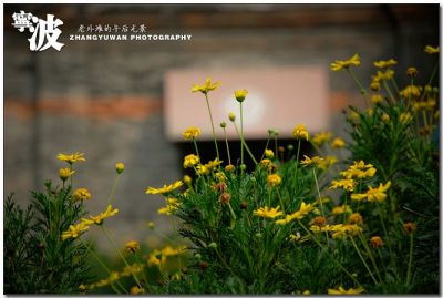 DSC_0007~2.jpg