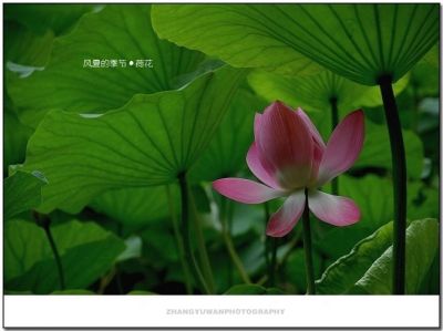 DSC_0041~1.jpg
