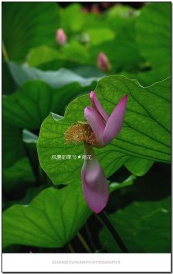 DSC_0059~0.jpg