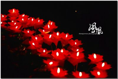 DSC_0104~0.jpg