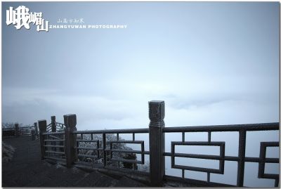 DSC_0202~2.jpg