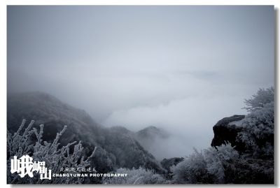 DSC_0225~1.jpg