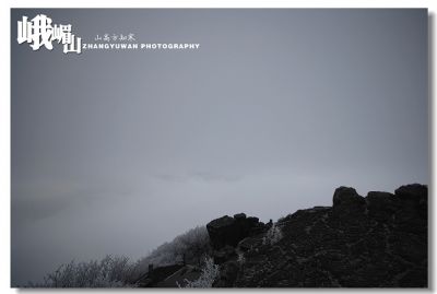 DSC_0235.jpg