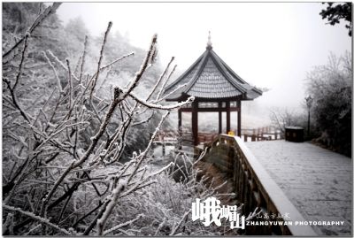 DSC_0280~1.jpg